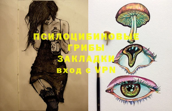 стафф Баксан