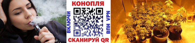 закладки  Темрюк  Конопля планчик 